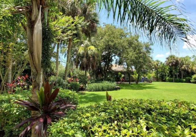 Treated lawn in North Port FL - Pest Patrol SW FL